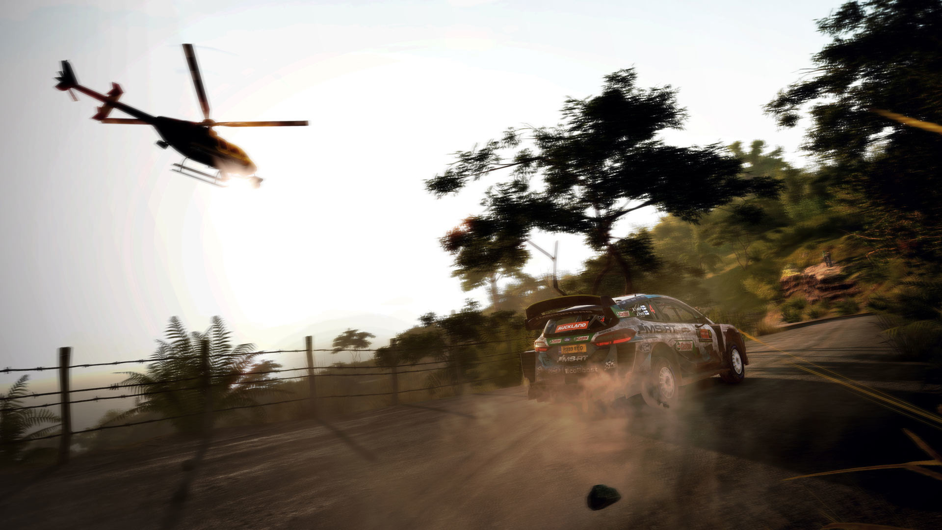 世界汽车拉力锦标赛9 / WRC 9 FIA World Rally Championship 截图