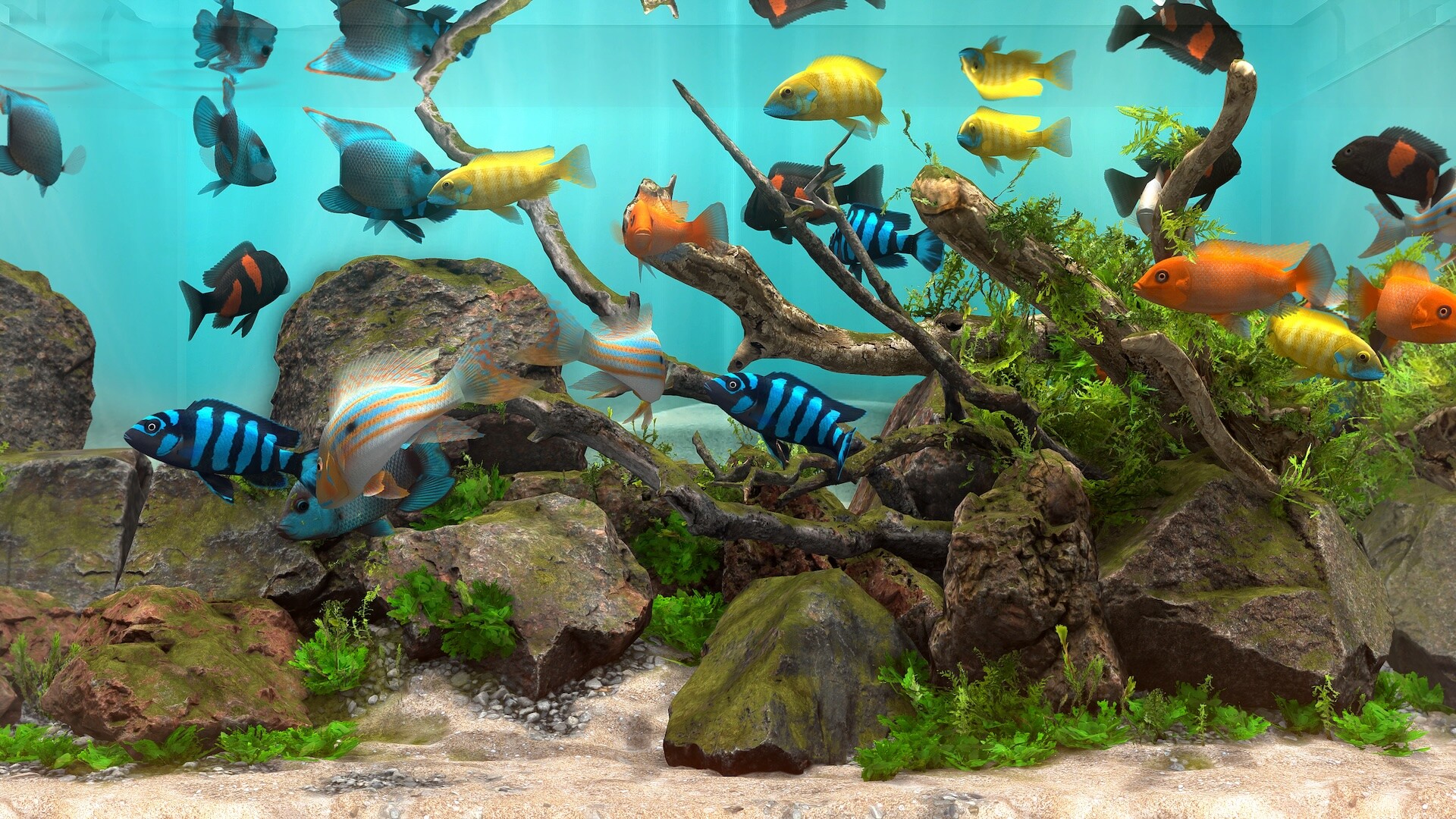 玻璃背后：水族馆模拟器 / Behind Glass: Aquarium Simulator 截图