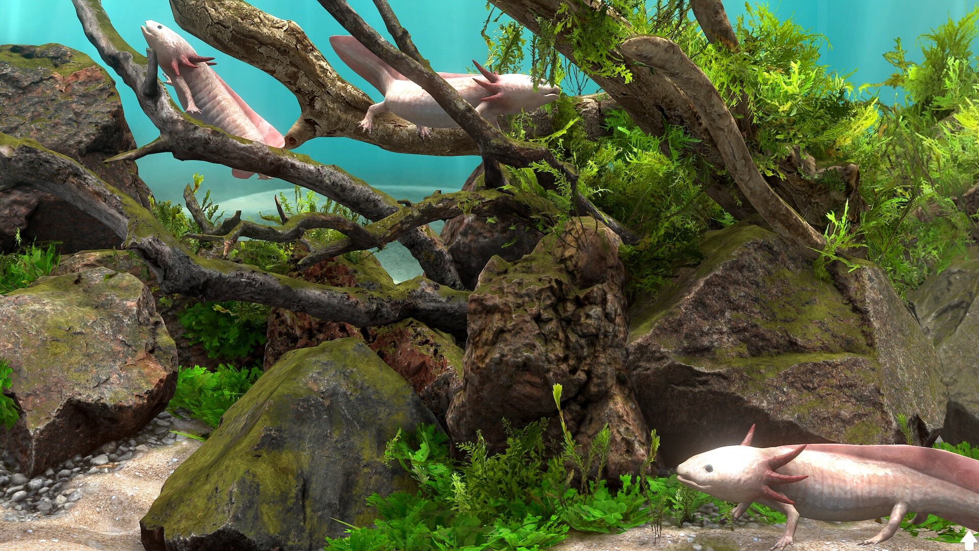 玻璃背后：水族馆模拟器 / Behind Glass: Aquarium Simulator 截图