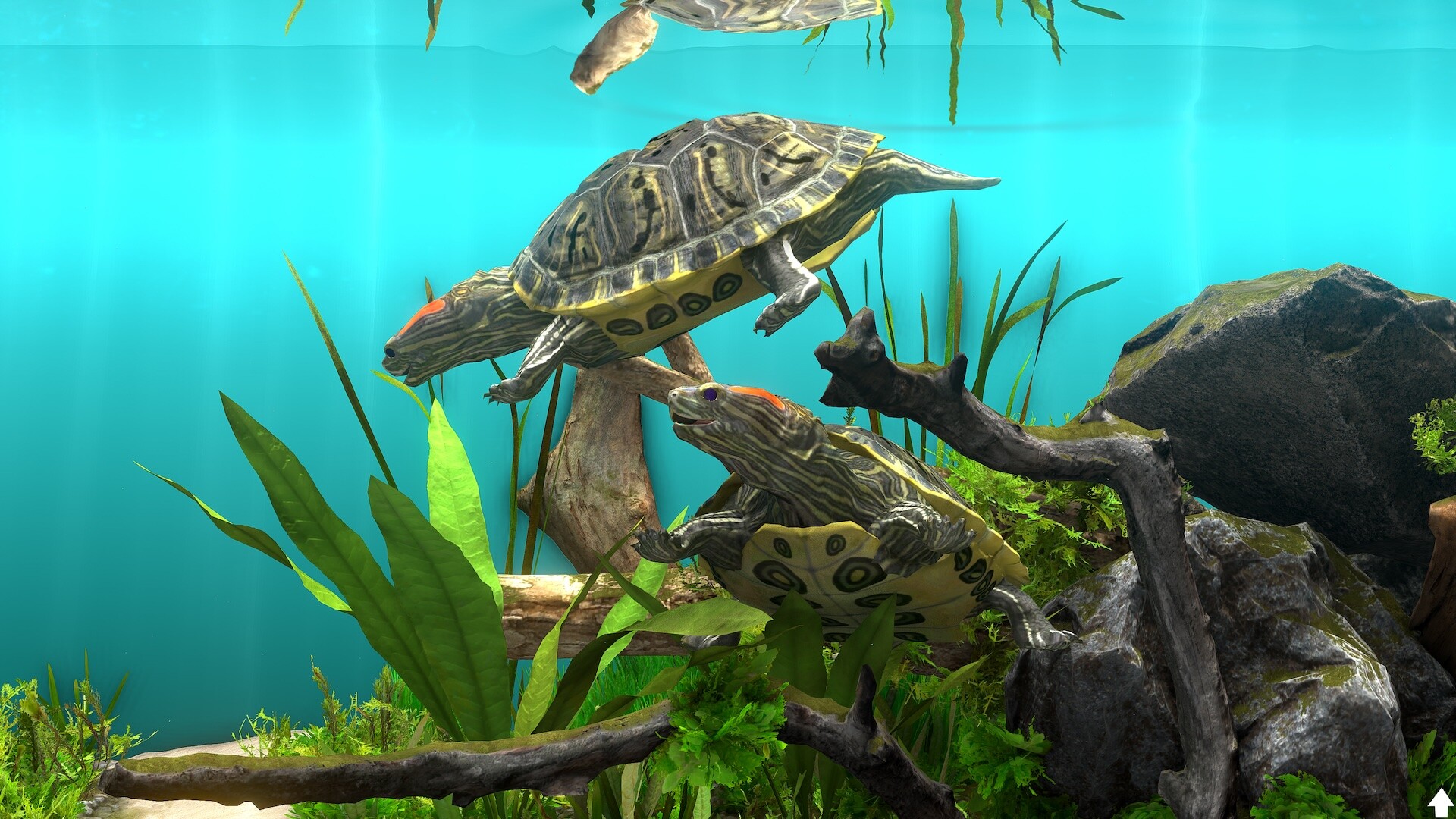 玻璃背后：水族馆模拟器 / Behind Glass: Aquarium Simulator 截图