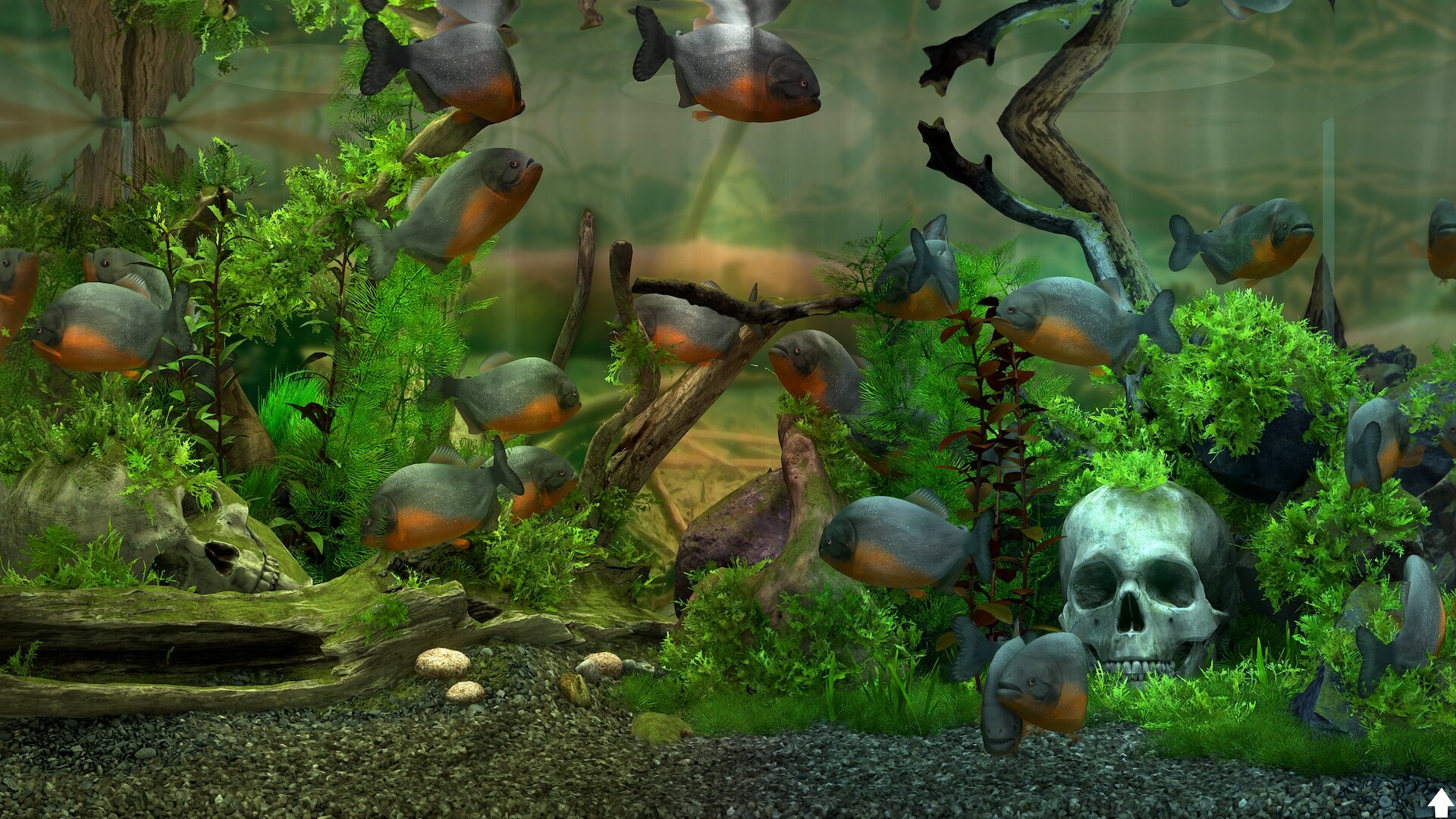 玻璃背后：水族馆模拟器 / Behind Glass: Aquarium Simulator 截图
