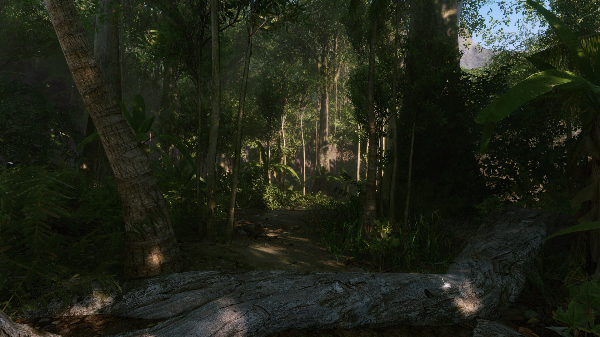 孤岛危机 / Crysis Remastered 截图