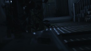 面容 / Visage