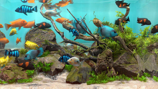 玻璃背后：水族馆模拟器 / Behind Glass: Aquarium Simulator