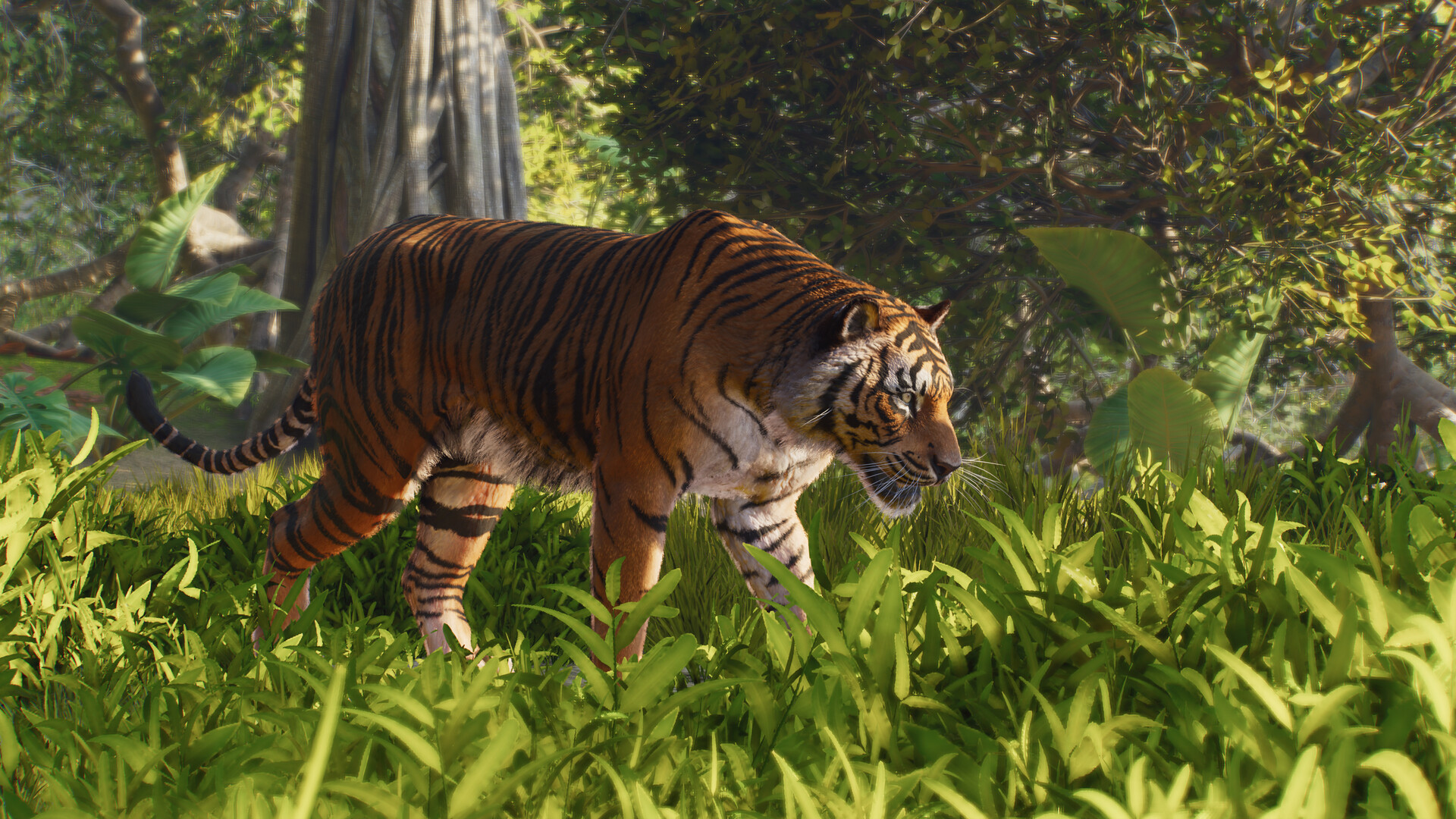 动物园之星2-虚拟机版/Planet Zoo 2 HYPERVISOR 截图