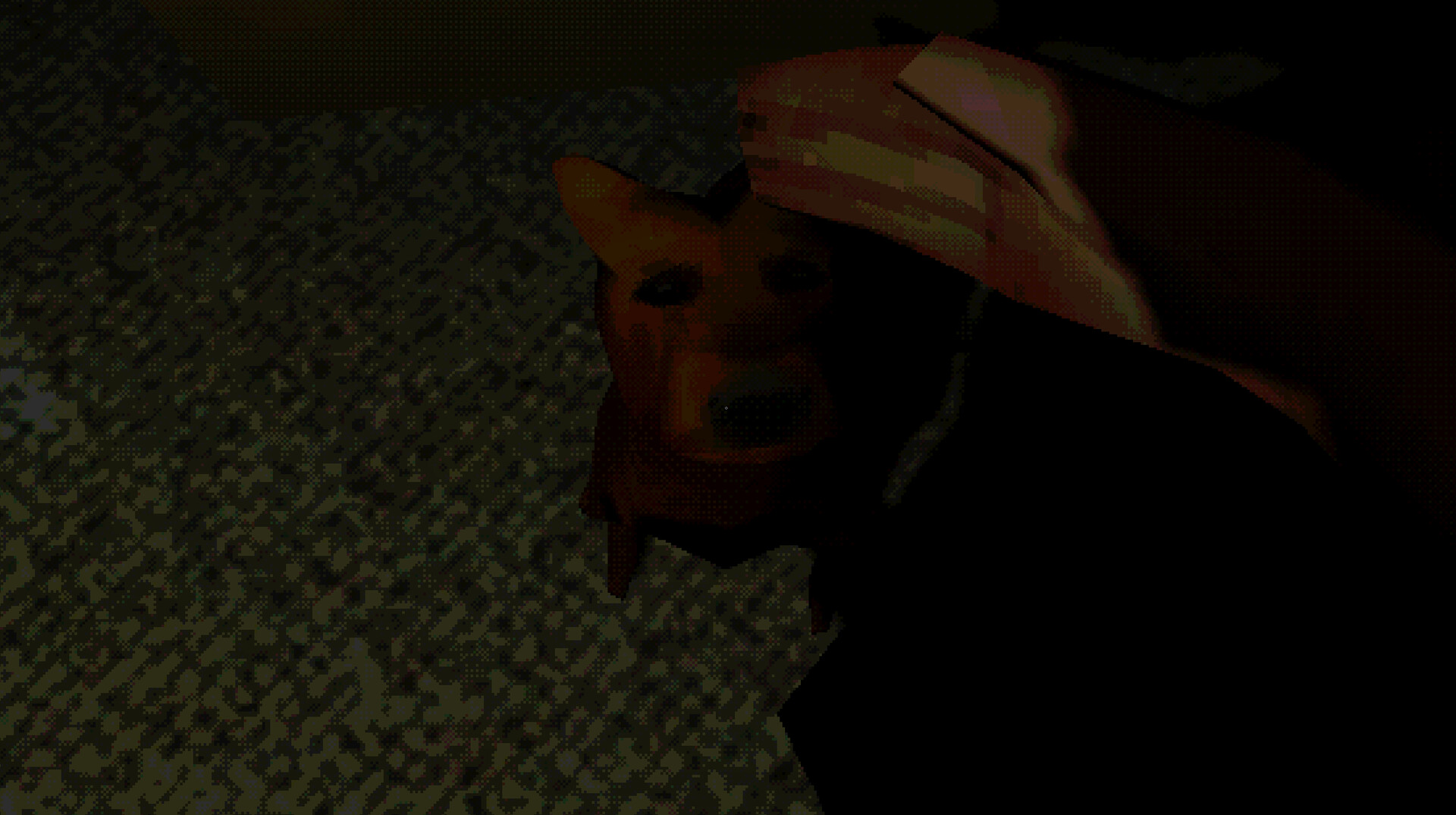 狗狗的记忆/What The Dog Remembers 截图