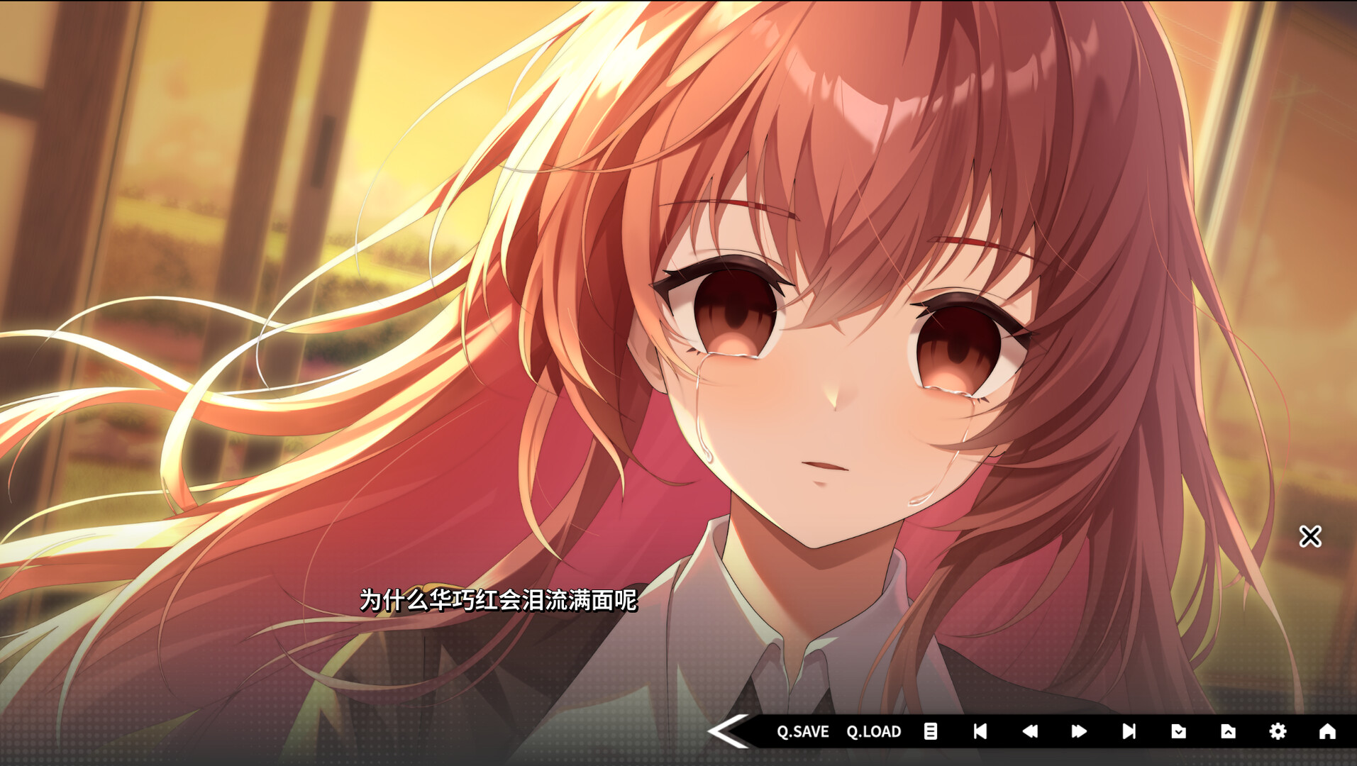 道之华隐/DaoNoKa hide 截图