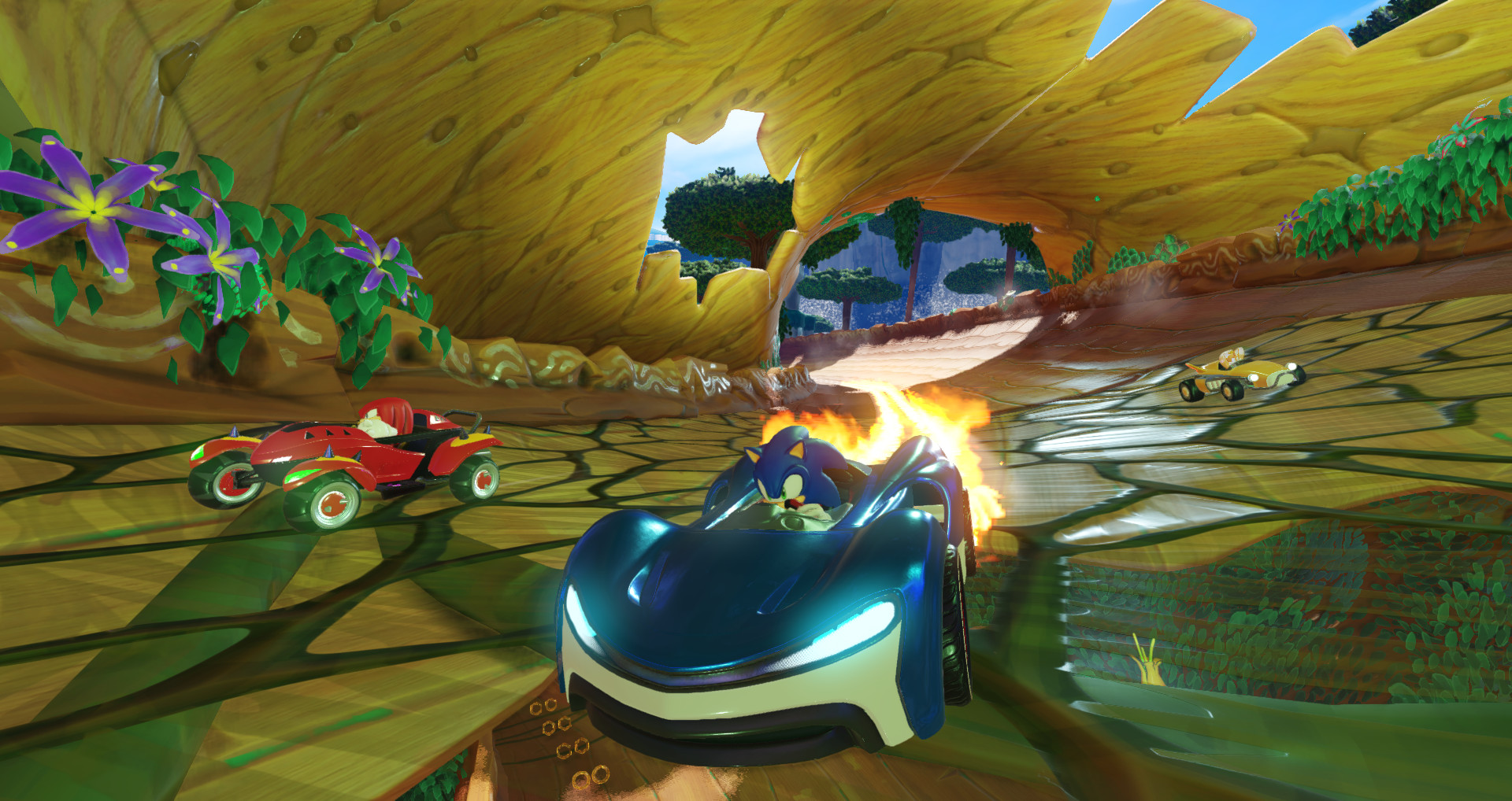 团队索尼克赛车 / Team Sonic Racing 截图